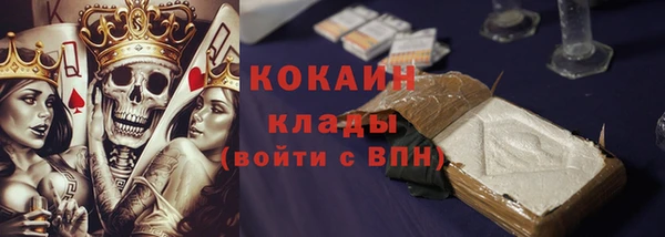 индика Ростов