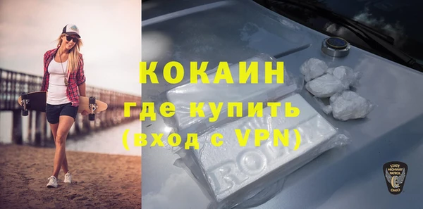 ПСИЛОЦИБИНОВЫЕ ГРИБЫ Рославль