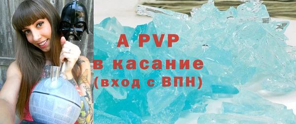 ПСИЛОЦИБИНОВЫЕ ГРИБЫ Рославль