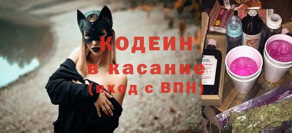 индика Ростов
